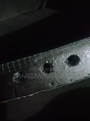 JD Cricket Bat - Professional Grade with Epoxy Finish