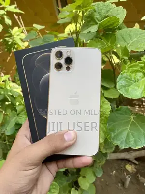 Photo - Apple iPhone 12 Pro 256GB Dual SIM Smartphone