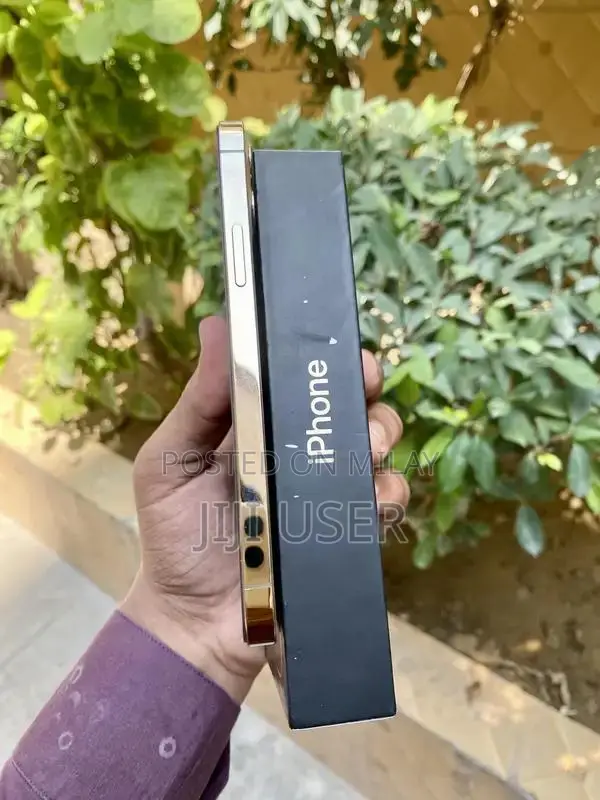 Apple iPhone 12 Pro 256GB Dual SIM Smartphone