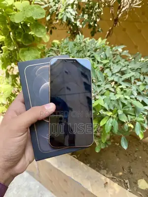 Apple iPhone 12 Pro 256GB Dual SIM Smartphone