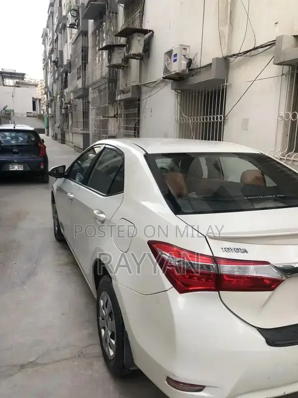 Complete 4-Piece Touch Up Car Paint Repair Kit