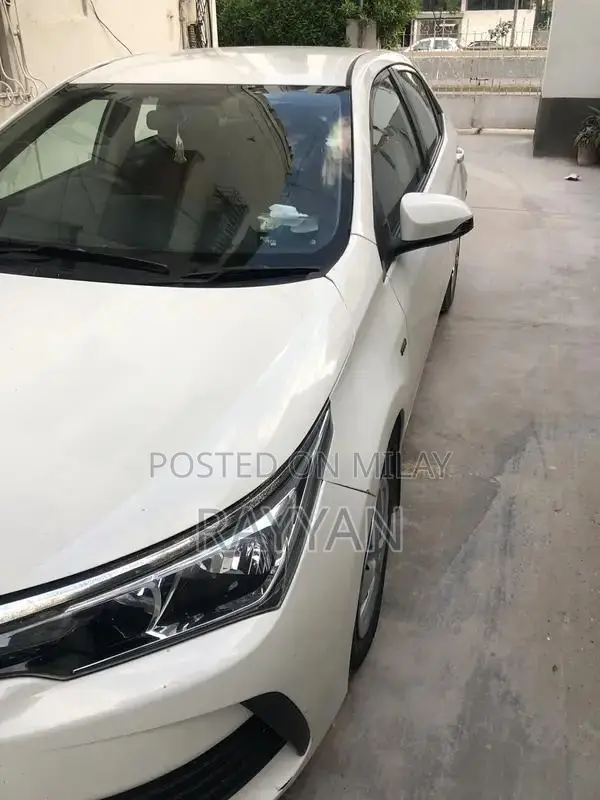 Complete 4-Piece Touch Up Car Paint Repair Kit