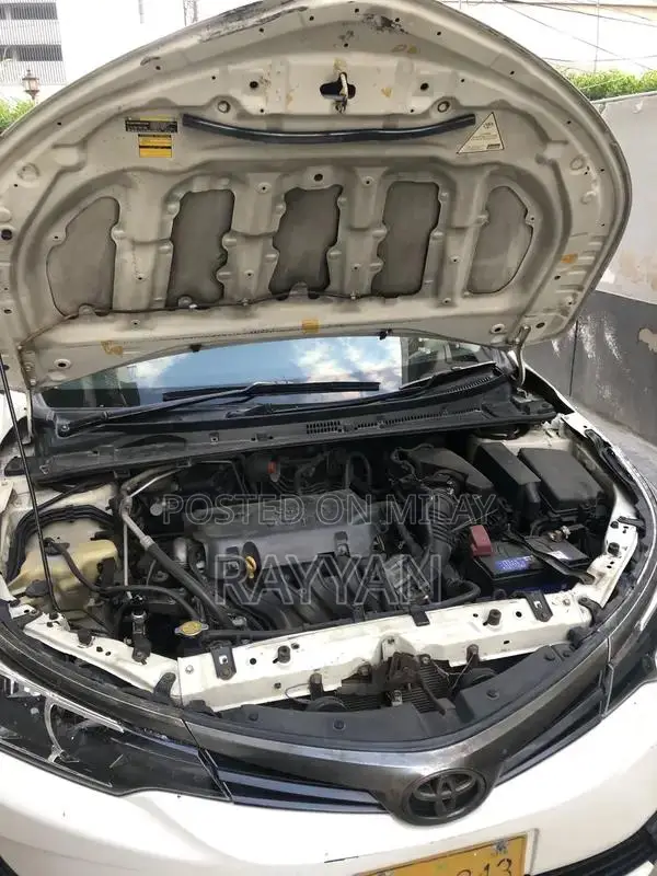 Complete 4-Piece Touch Up Car Paint Repair Kit