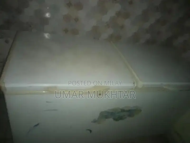 Large 6-Foot Dewp Freezer with Cooling Capabilities