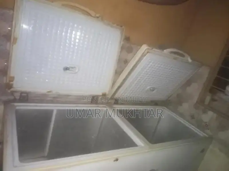 Large 6-Foot Dewp Freezer with Cooling Capabilities