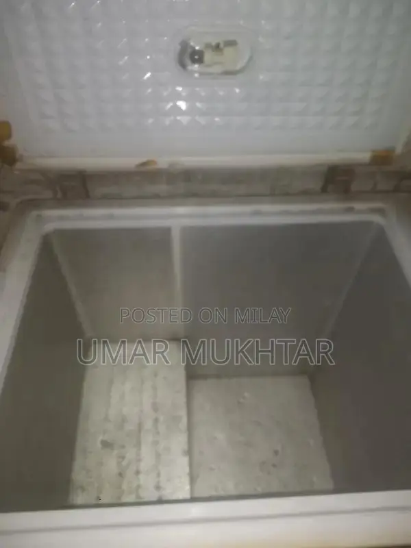 Large 6-Foot Dewp Freezer with Cooling Capabilities