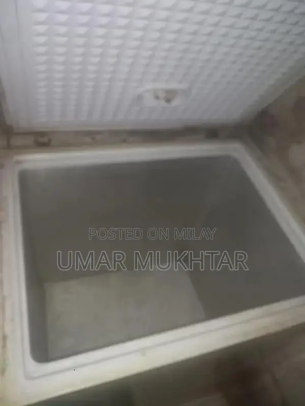 Large 6-Foot Dewp Freezer with Cooling Capabilities