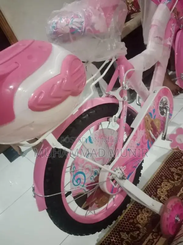 Kids Bicycle 18 Inch - Child Cycle for Young Riders