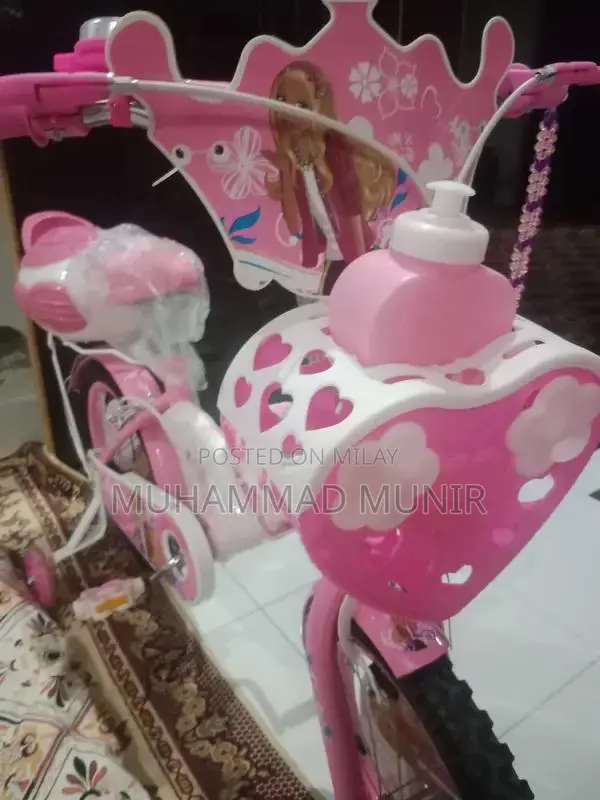 Kids Bicycle 18 Inch - Child Cycle for Young Riders