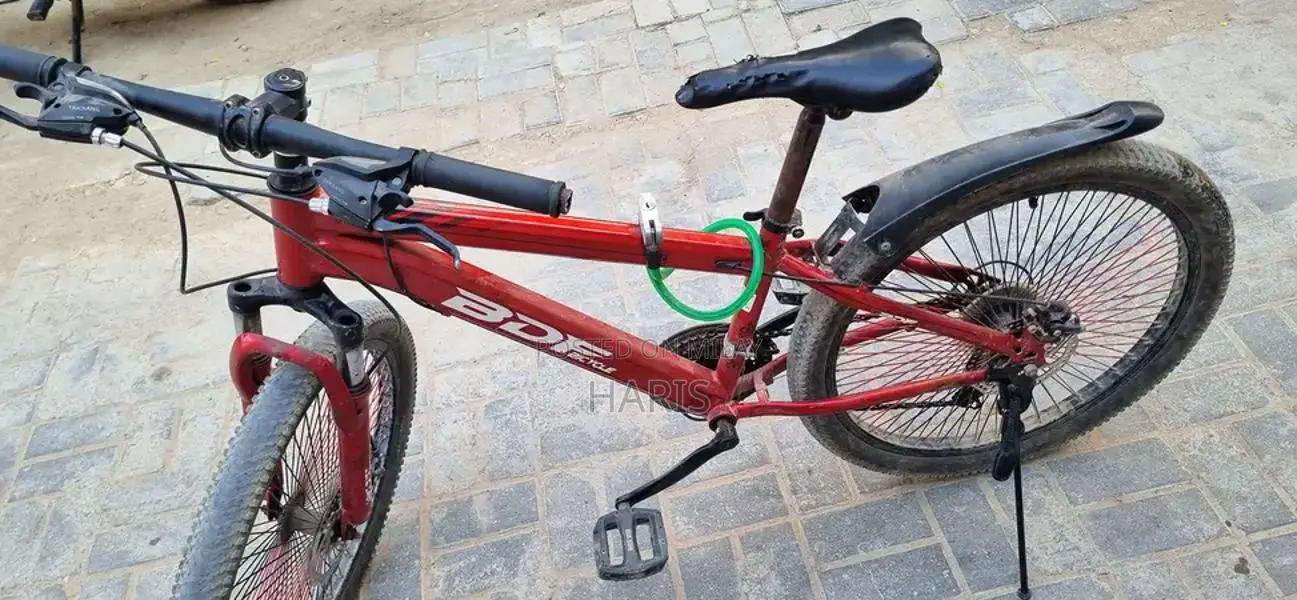 BDF 24-Inch Bicycle with 11 Gears in Excellent Condition
