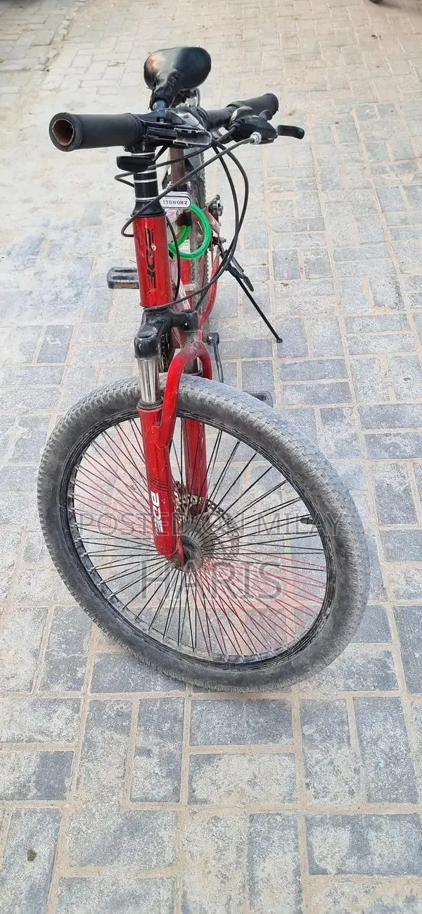 BDF 24-Inch Bicycle with 11 Gears in Excellent Condition