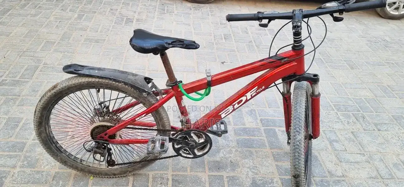 BDF 24-Inch Bicycle with 11 Gears in Excellent Condition
