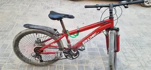 BDF 24-Inch Bicycle with 11 Gears in Excellent Condition