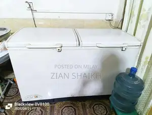 Photo - Professional Deep Freezer for Home and Commercial Use