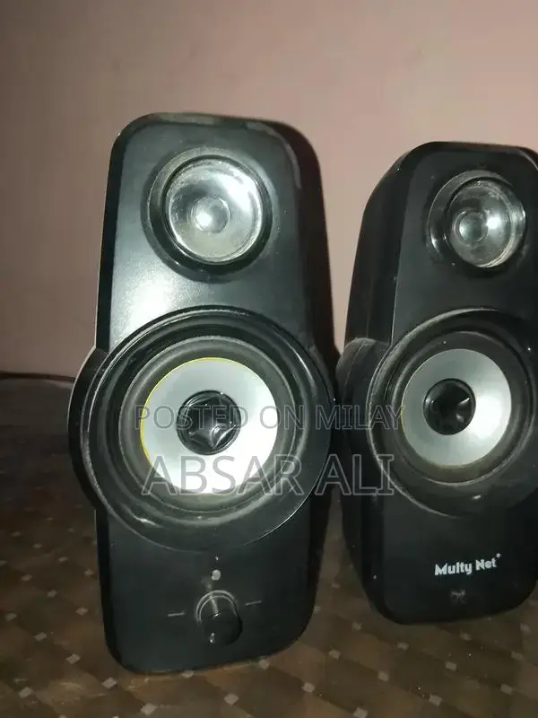 Portable Bluetooth Speaker with Wired Connectivity