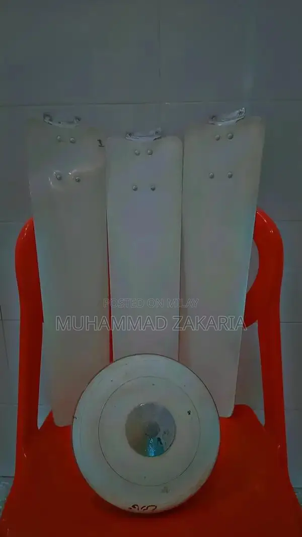 Royal Ceiling Fan – Used but in Good Condition