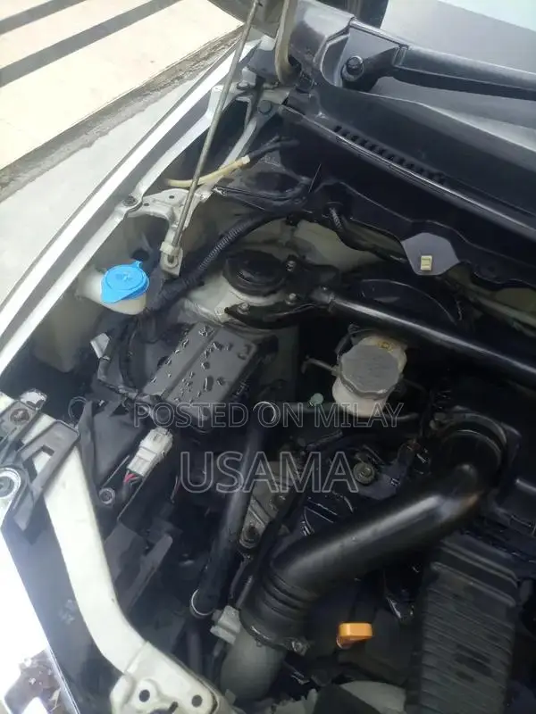 Alto Compact 2-Door Shower Vehicle Clean and Ready