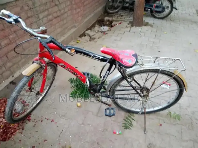 Classic Cycling Bicycle for Urban and Leisure Rides