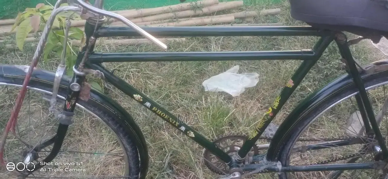 Phoenix 22-Inch Sports Accessory in Good Condition