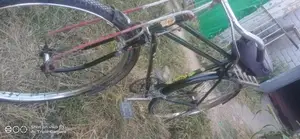 Phoenix 22-Inch Sports Accessory in Good Condition