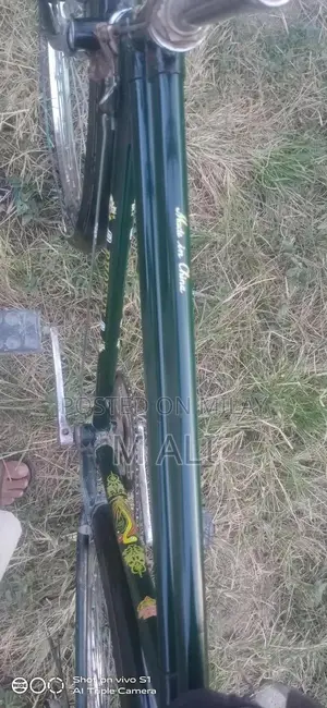 Phoenix 22-Inch Sports Accessory in Good Condition