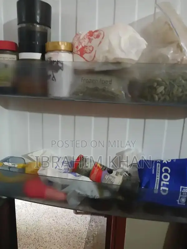 Gree Full Size Black Refrigerator - Spacious Home Appliance