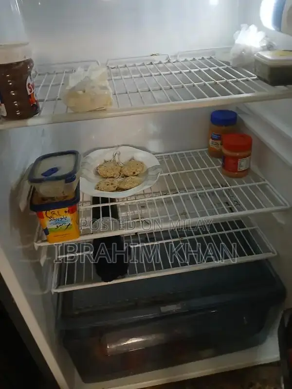 Gree Full Size Black Refrigerator - Spacious Home Appliance