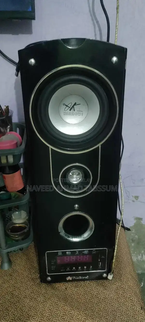 Audionic Home Theater System - High-Performance Audio Setup