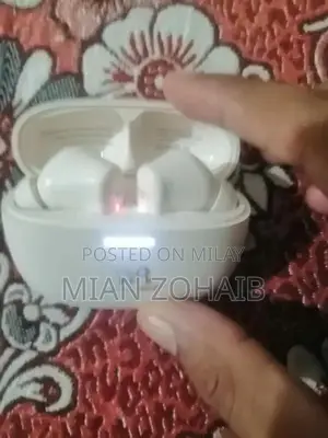 Wiwo Birds WB-M11 Wireless Earbuds with Charging Case