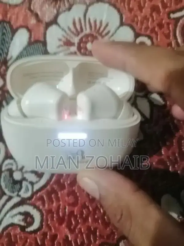 Wiwo Birds WB-M11 Wireless Earbuds with Charging Case