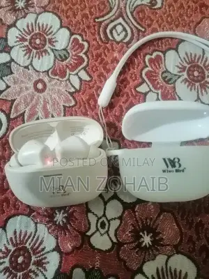 Wiwo Birds WB-M11 Wireless Earbuds with Charging Case
