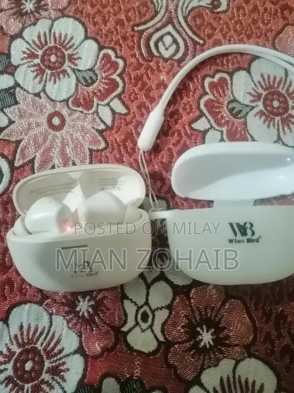 Wiwo Birds WB-M11 Wireless Earbuds with Charging Case
