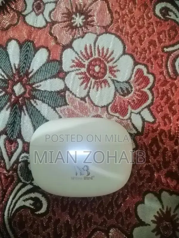 Wiwo Birds WB-M11 Wireless Earbuds with Charging Case