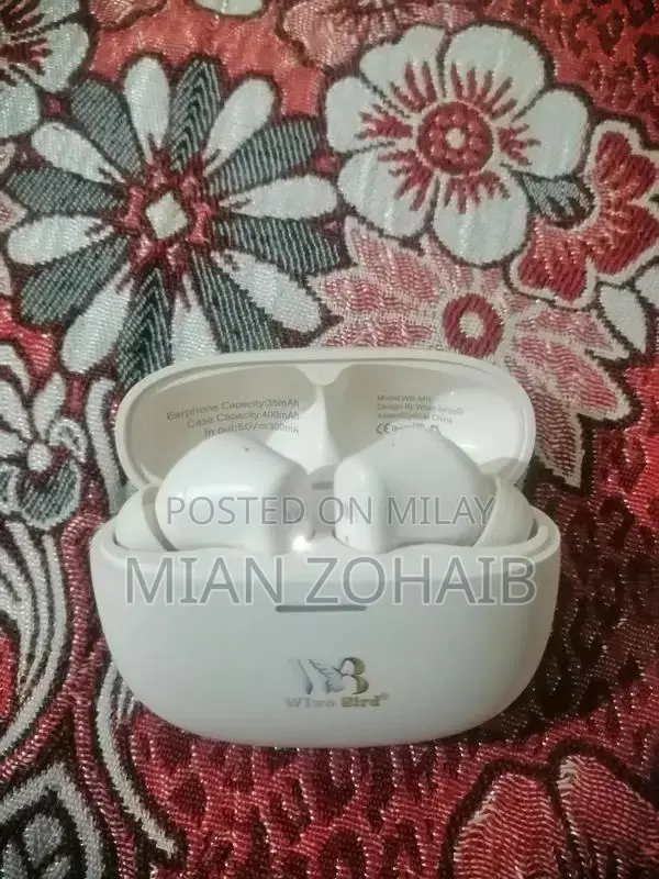 Wiwo Birds WB-M11 Wireless Earbuds with Charging Case