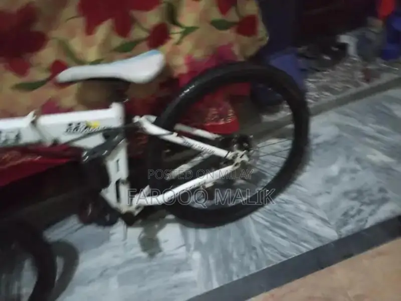 Imported Folding Bicycle for Urban Commuting