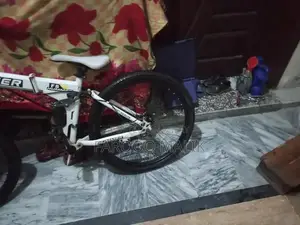 Imported Folding Bicycle for Urban Commuting