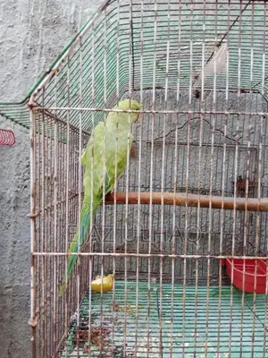 Photo - Traditional Handcrafted Textile with Cultural Design Pattern