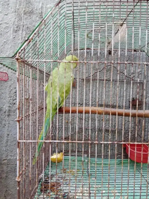 Traditional Handcrafted Textile with Cultural Design Pattern