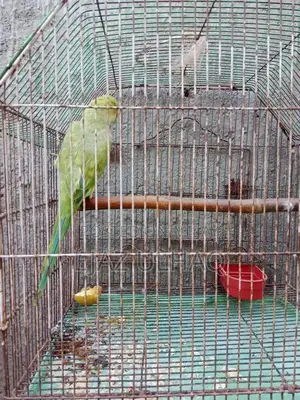 Traditional Handcrafted Textile with Cultural Design Pattern