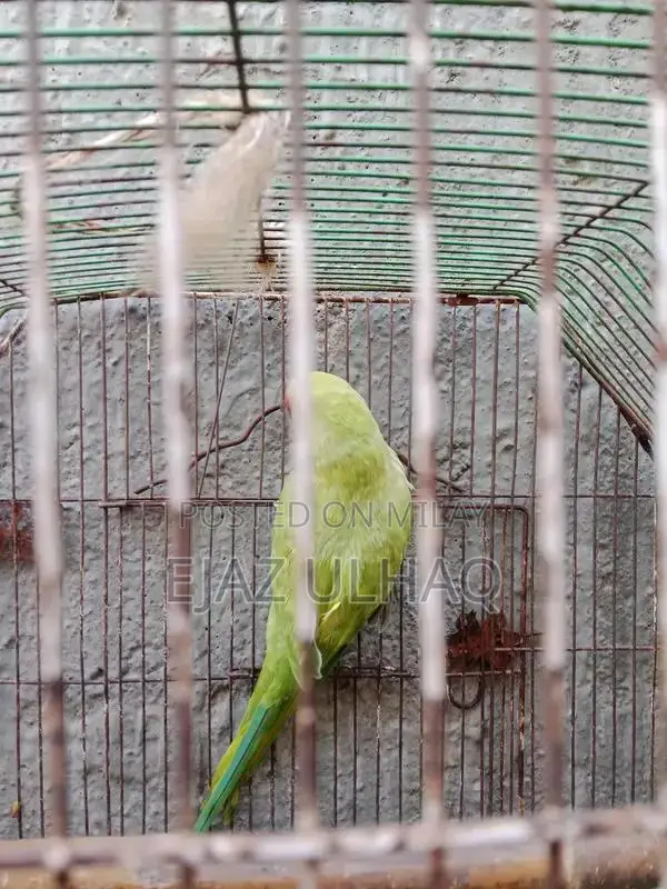 Traditional Handcrafted Textile with Cultural Design Pattern