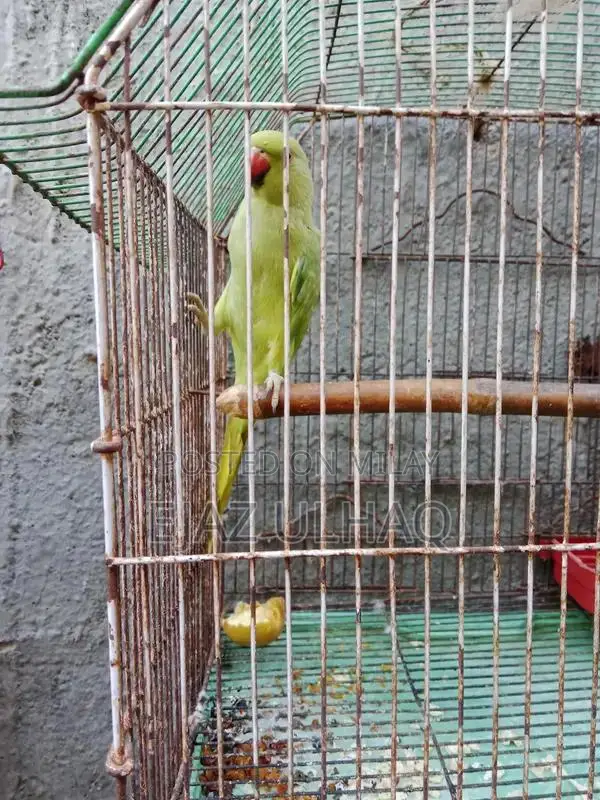 Traditional Handcrafted Textile with Cultural Design Pattern