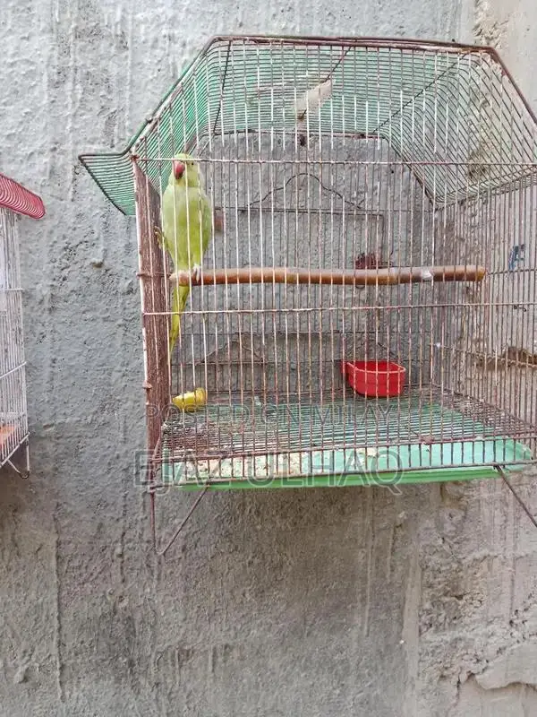 Traditional Handcrafted Textile with Cultural Design Pattern