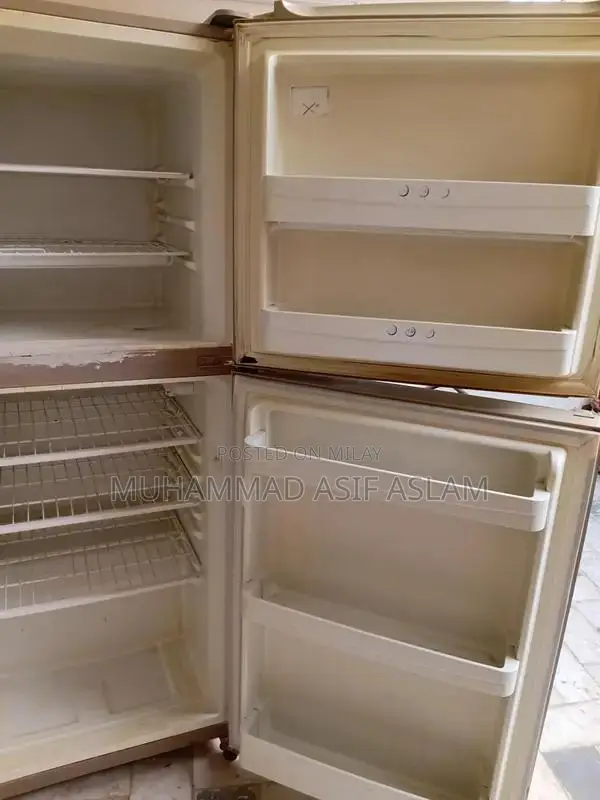 Haier Medium Double Door Refrigerator