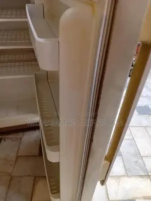 Haier Medium Double Door Refrigerator