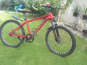 Photo - 24-Inch Bicycle in Excellent New Condition