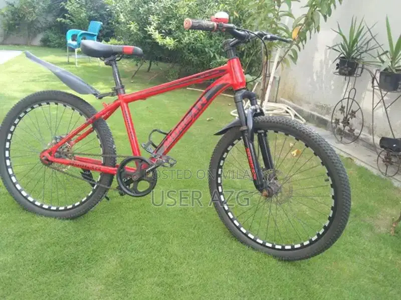 24-Inch Bicycle in Excellent New Condition