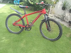 24-Inch Bicycle in Excellent New Condition