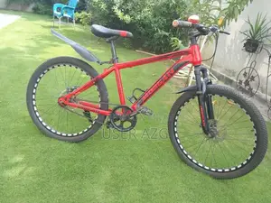 24-Inch Bicycle in Excellent New Condition