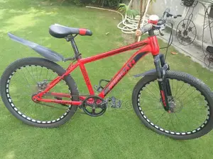 24-Inch Bicycle in Excellent New Condition
