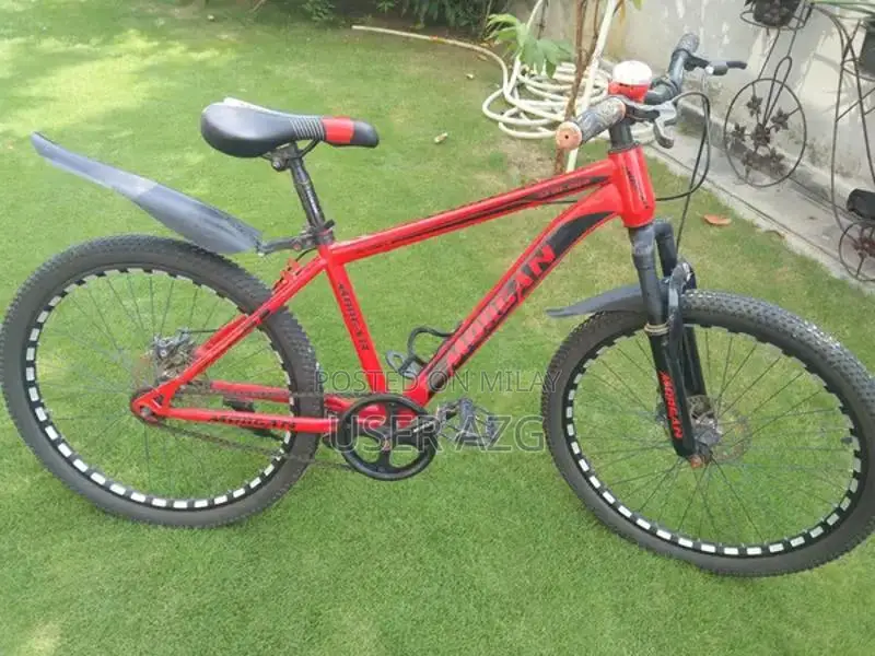 24-Inch Bicycle in Excellent New Condition